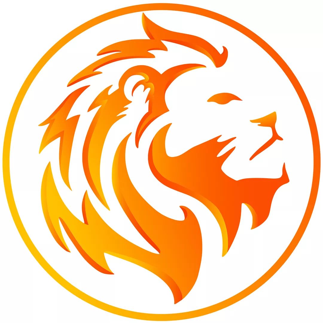 ASLAN SPORT COACHING logo